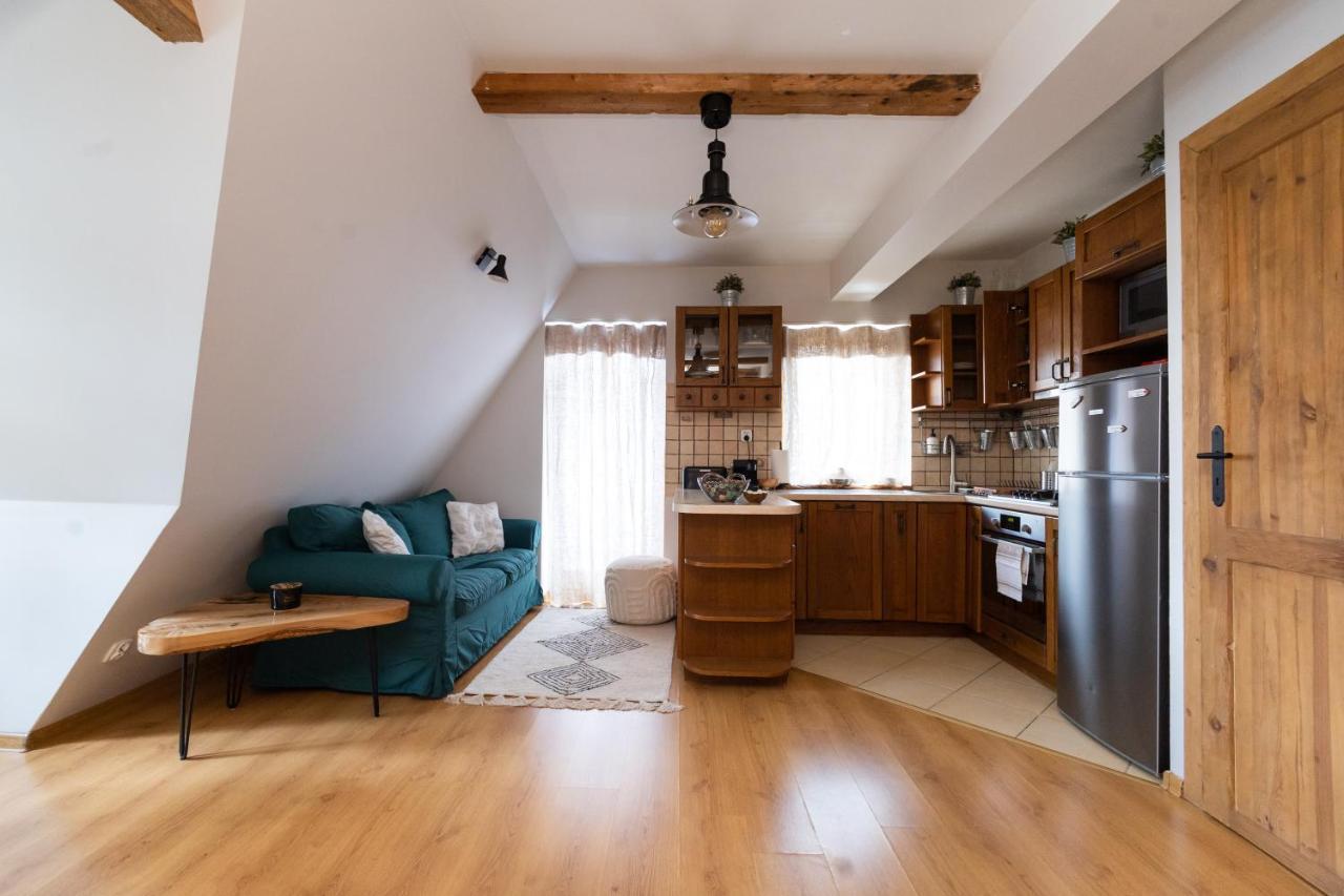 Apartament Blisko Szlaku Zakopane Apartman Kültér fotó